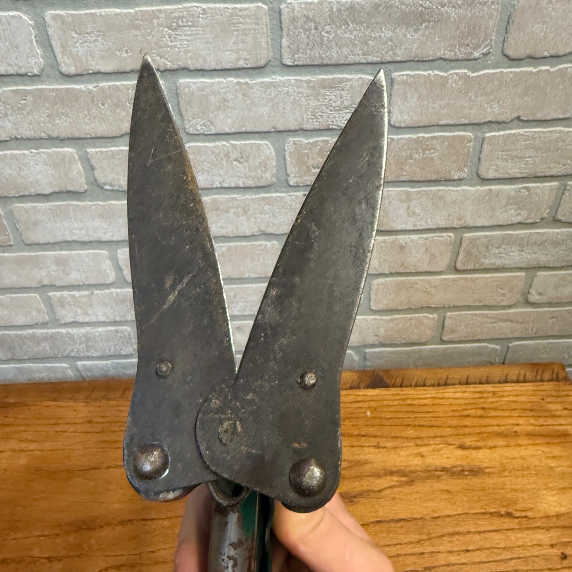 Vintage Hand Garden Shears Loppers Pruners Greenhouse Garden Decor Green
