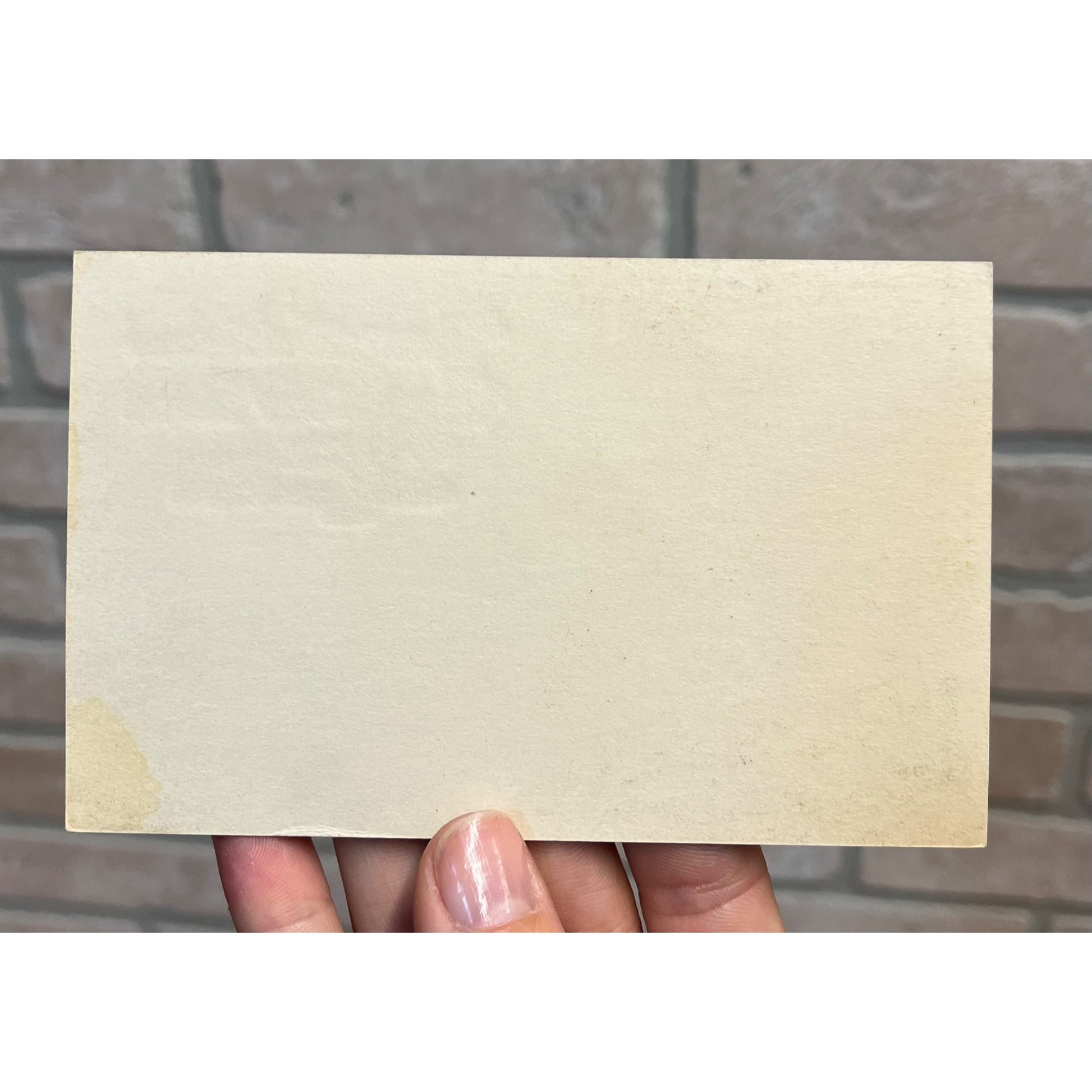 Vintage 1900s Christmas Postcard Art Nouveau Deco Art New Year Dog Children Gift