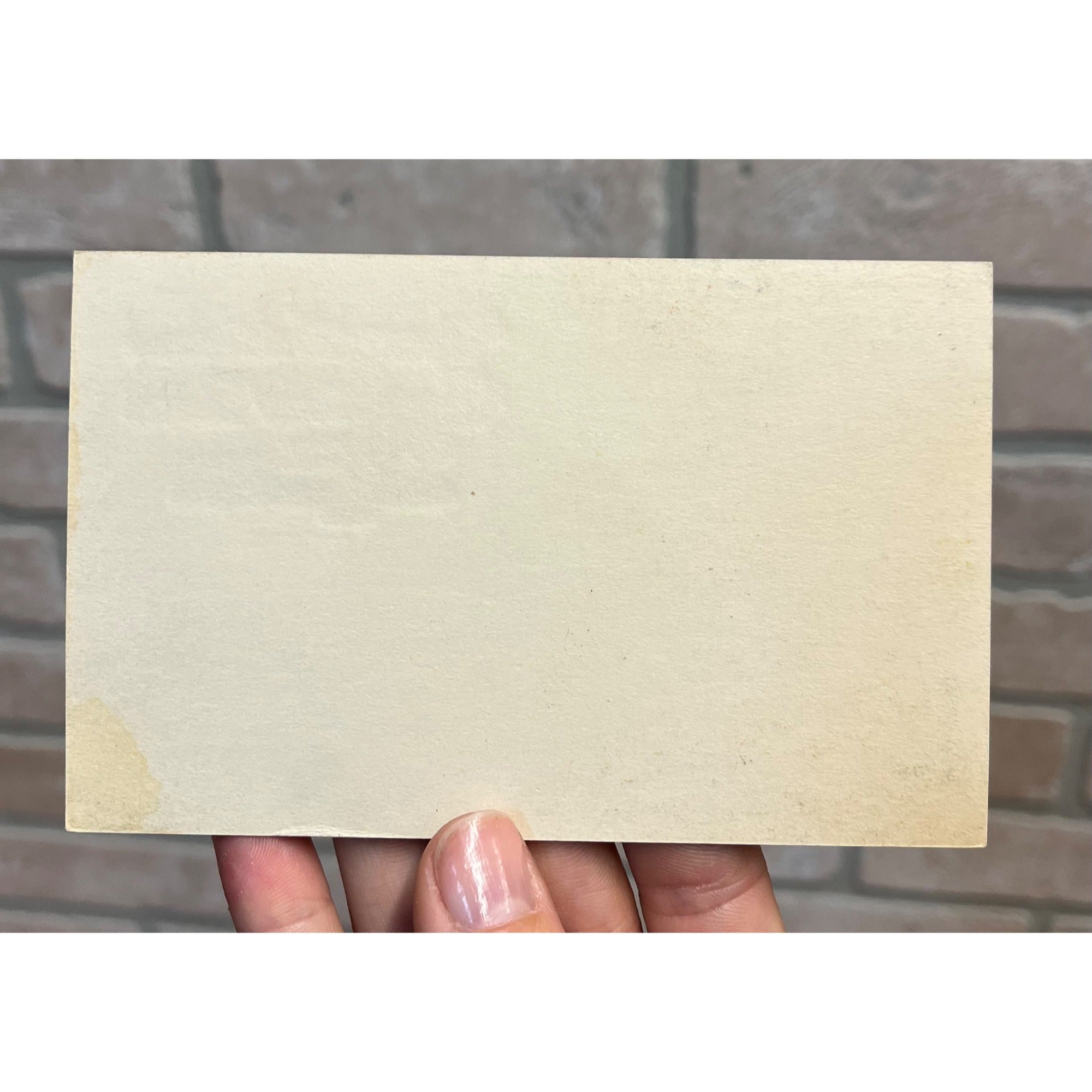 Vintage 1900s Christmas Postcard Art Nouveau Deco Art New Year Dog Children Gift