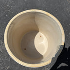 Red Wing 10 Gallon Birch Leaf Leaves Crock Stoneware Unsigned