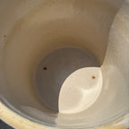 Red Wing 10 Gallon Birch Leaf Leaves Crock Stoneware Unsigned