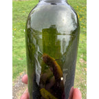 Antique 19th Century Early Dark Olive Green Bottle Push-up Base Tooled double Ring Lip 1800s