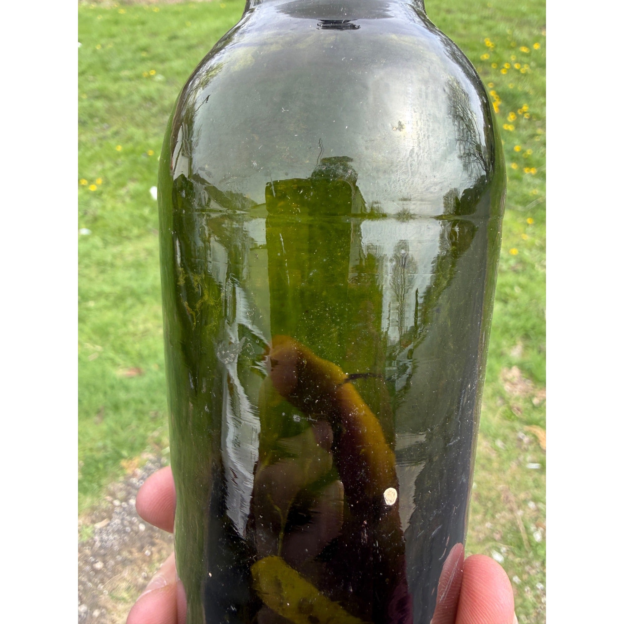 Antique 19th Century Early Dark Olive Green Bottle Push-up Base Tooled double Ring Lip 1800s