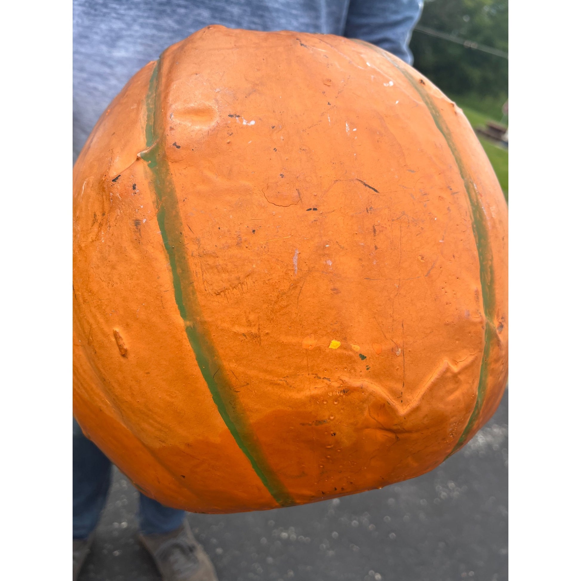 RARE Antique 1920s Halloween German Jack O Lantern JOL Candle Holder Large 11.5"