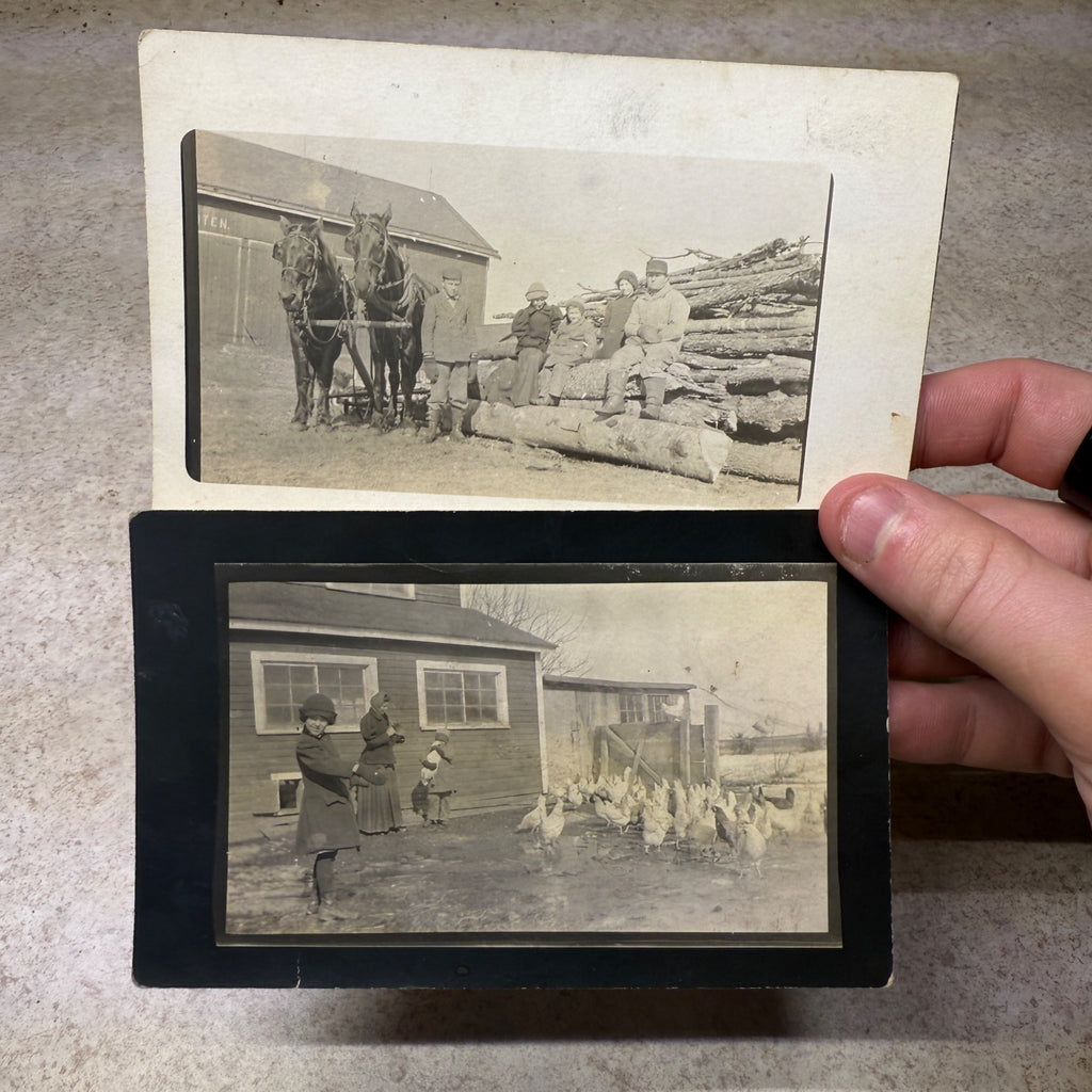 (2) RPPC Postcards Rural Life Campbellsport Wis Schrooten Dyken Farm Chickens