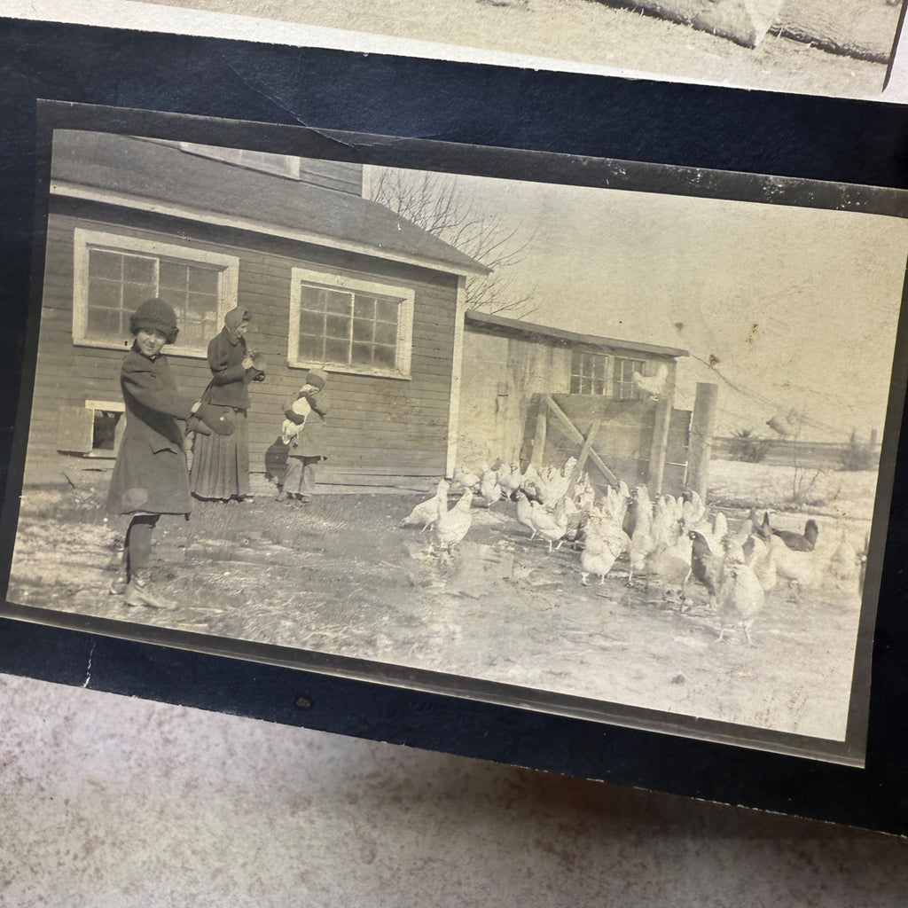 (2) RPPC Postcards Rural Life Campbellsport Wis Schrooten Dyken Farm Chickens