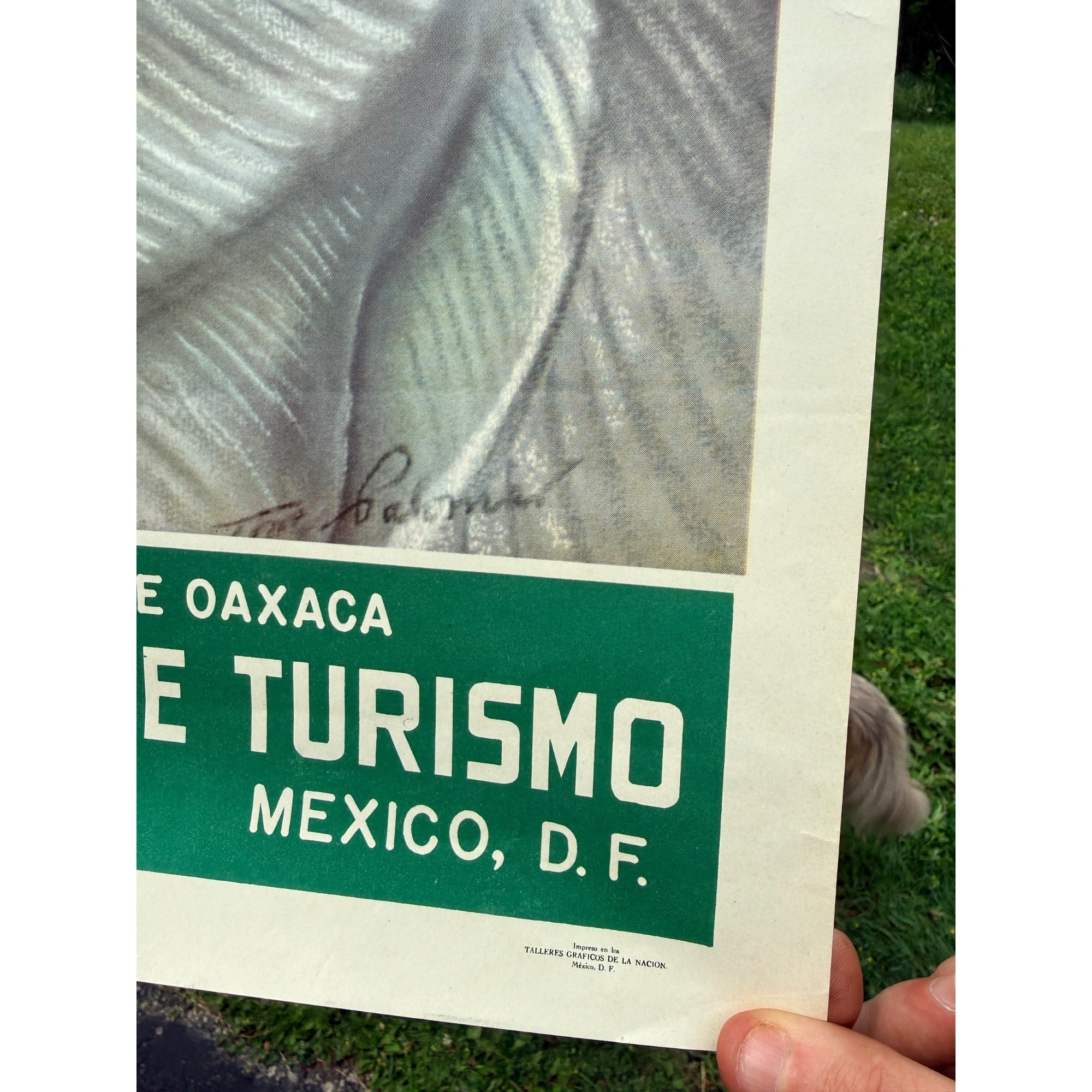 Original 1950s Mexico Oaxaca Yalaltecan Indian Poster Vintage Art 19" x 27"