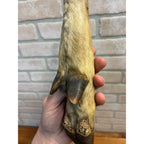 Antique Victorian 1800s Deer Hoof Foot Therm Cabin Decor Taxidermy Unusual