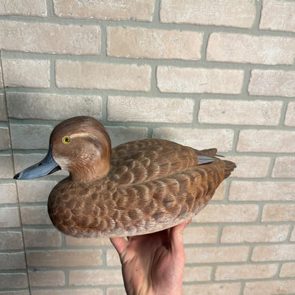 Pair of American Redheads Orante Duck Decoys Bill Brauer Carver Fond du Lac Wis