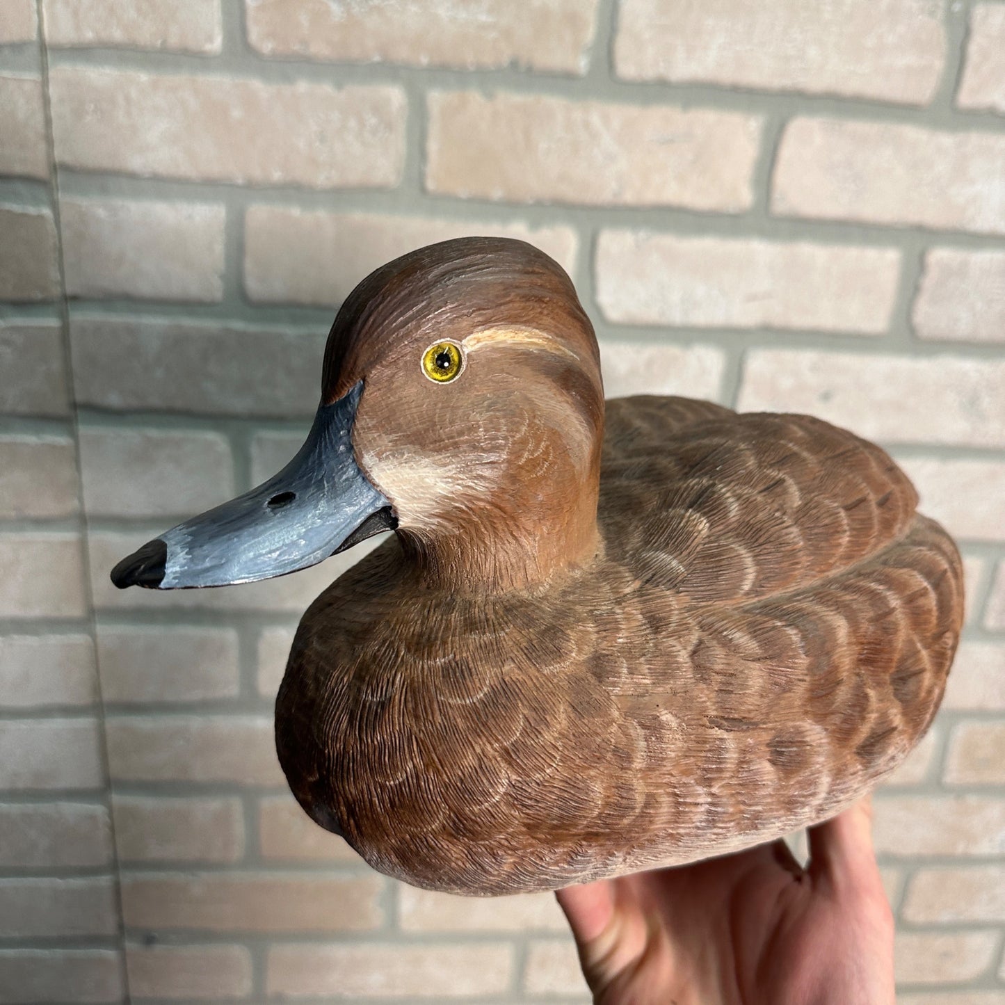 Pair of American Redheads Orante Duck Decoys Bill Brauer Carver Fond du Lac Wis