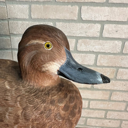 Pair of American Redheads Orante Duck Decoys Bill Brauer Carver Fond du Lac Wis