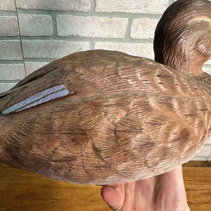 Pair of American Redheads Orante Duck Decoys Bill Brauer Carver Fond du Lac Wis