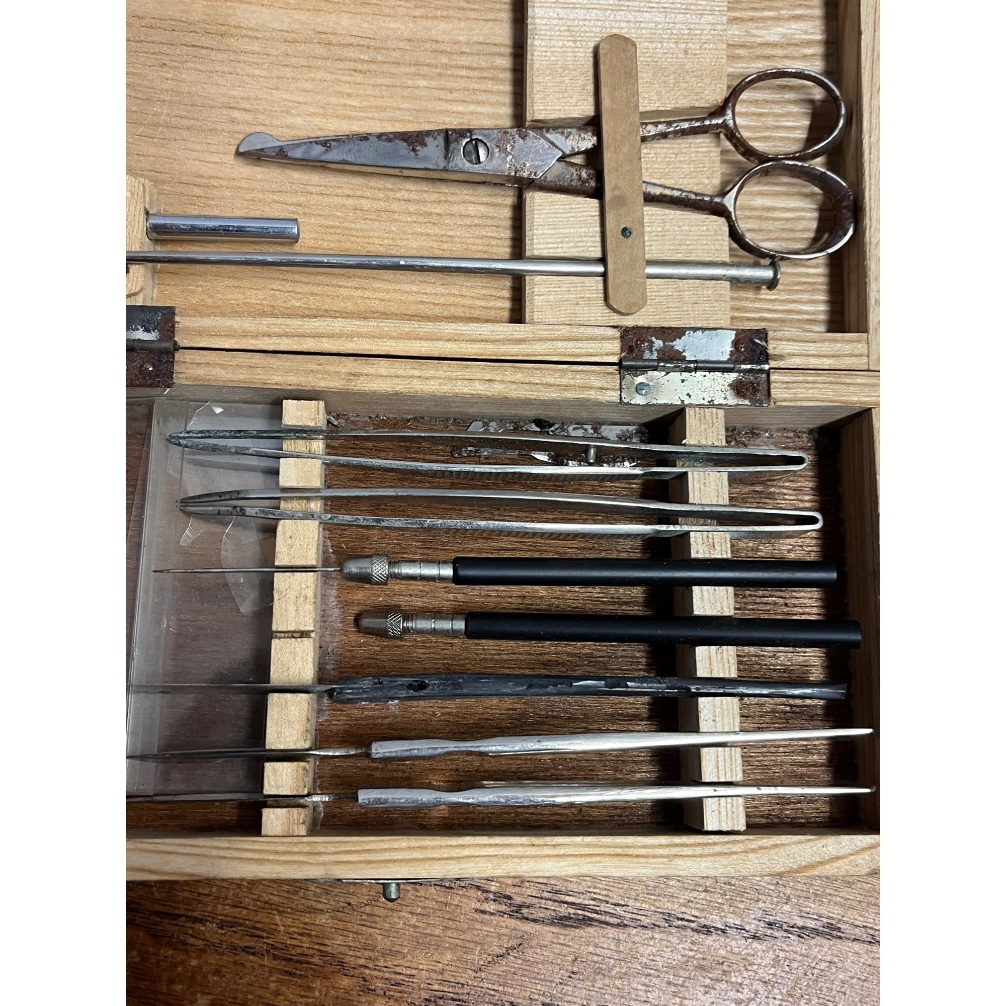 Vintage School Dissecting Science Tool Kit Biology Lab Instruments Case