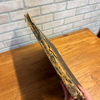 Antique 1874 Fond du Lac County Wisconsin Plat Map Complete Nice Condition