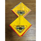 Vintage Lot (2) Boy Scout Grizzly Bear Lake Bonneville Council Neckerchief Scarf Cub