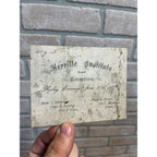 Antique 1876 All Girls School Class Reception Fond du Lac WI Merrille Institute