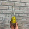 VERNOR'S GINGER ALE SODA BOTTLE~ELSONS BOTTLING WORKS ISHPEMING MI