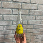 VERNOR'S GINGER ALE SODA BOTTLE~ELSONS BOTTLING WORKS ISHPEMING MI