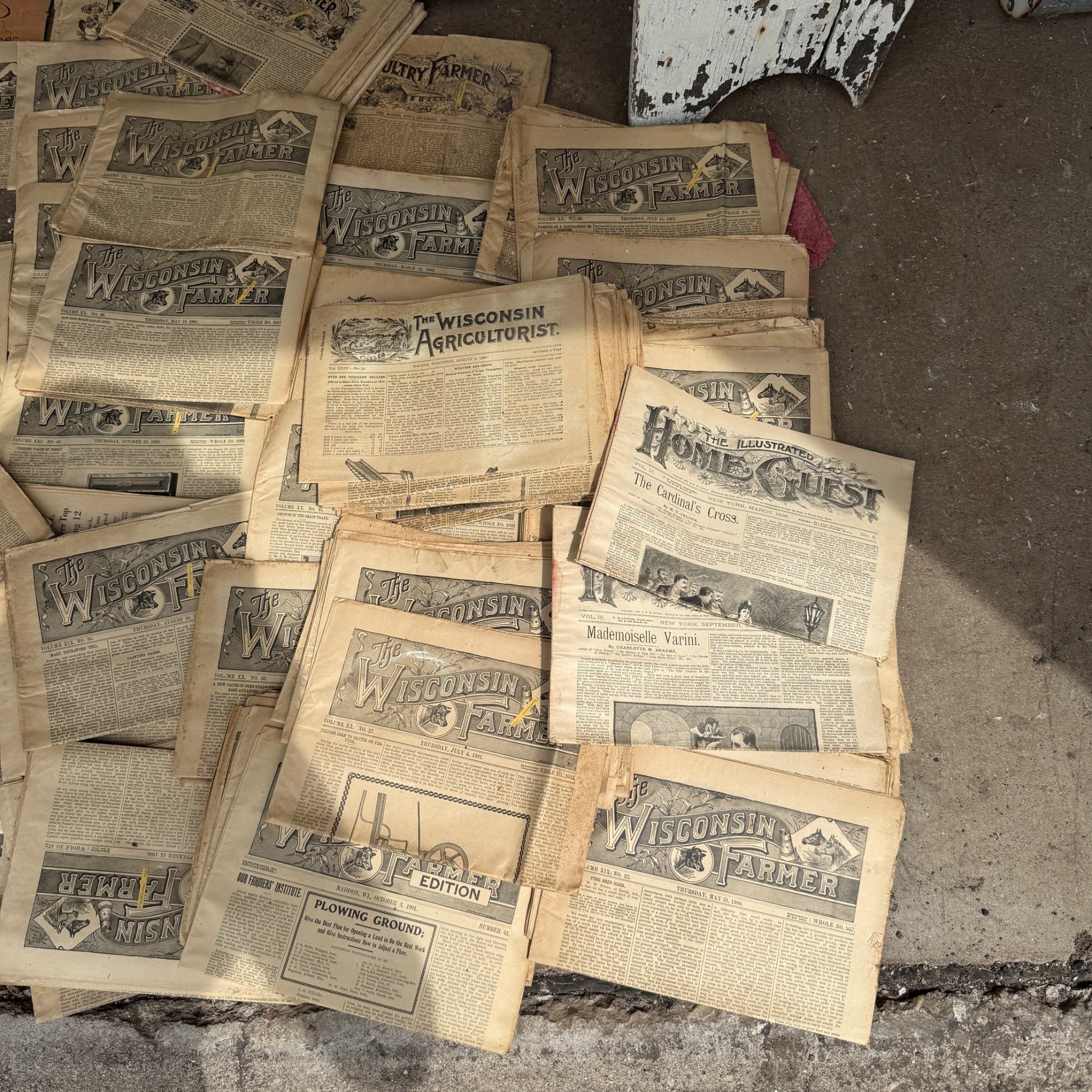 HUGE lot Early 1900s Wisconsin Farmer Poultry Newspapers Books