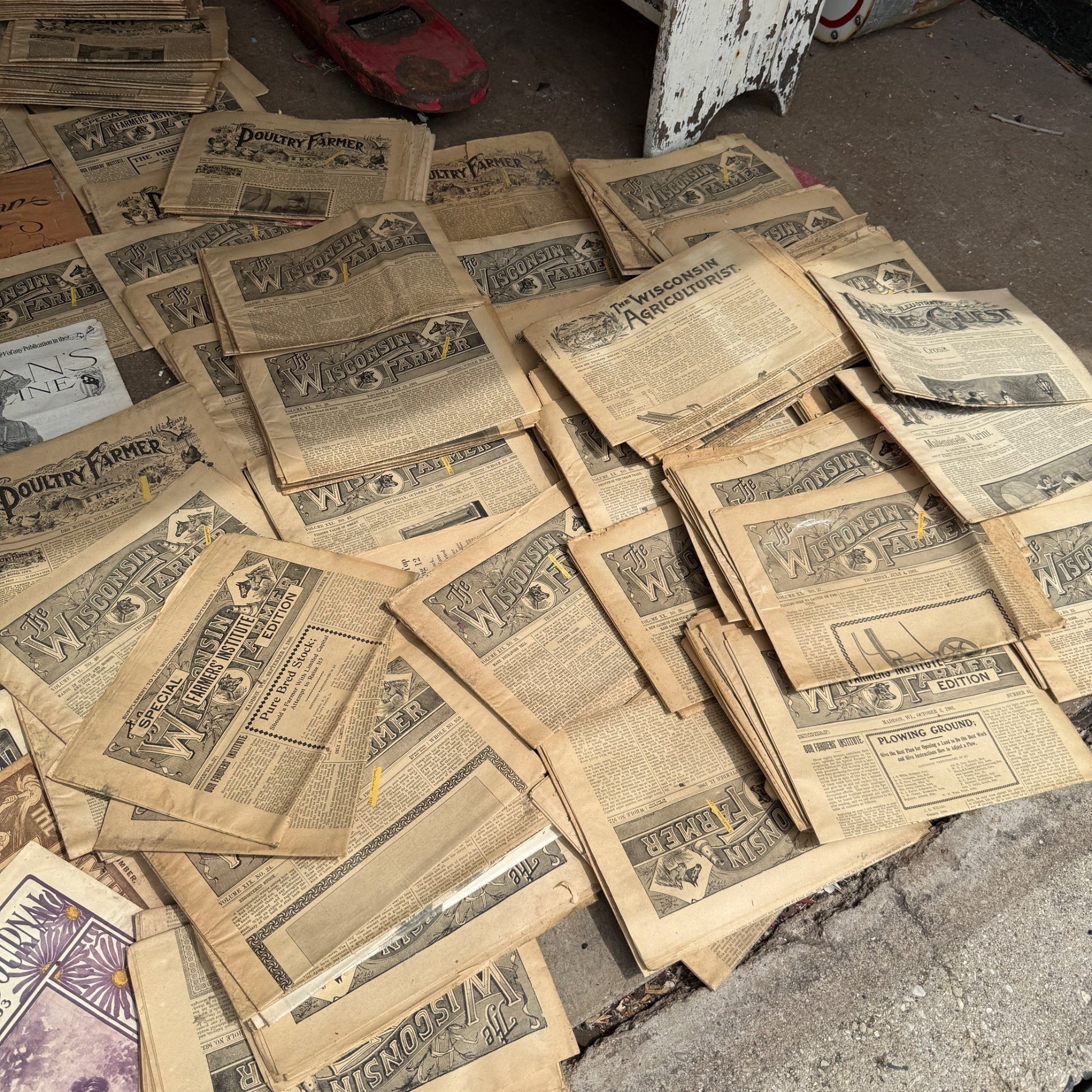 HUGE lot Early 1900s Wisconsin Farmer Poultry Newspapers Books