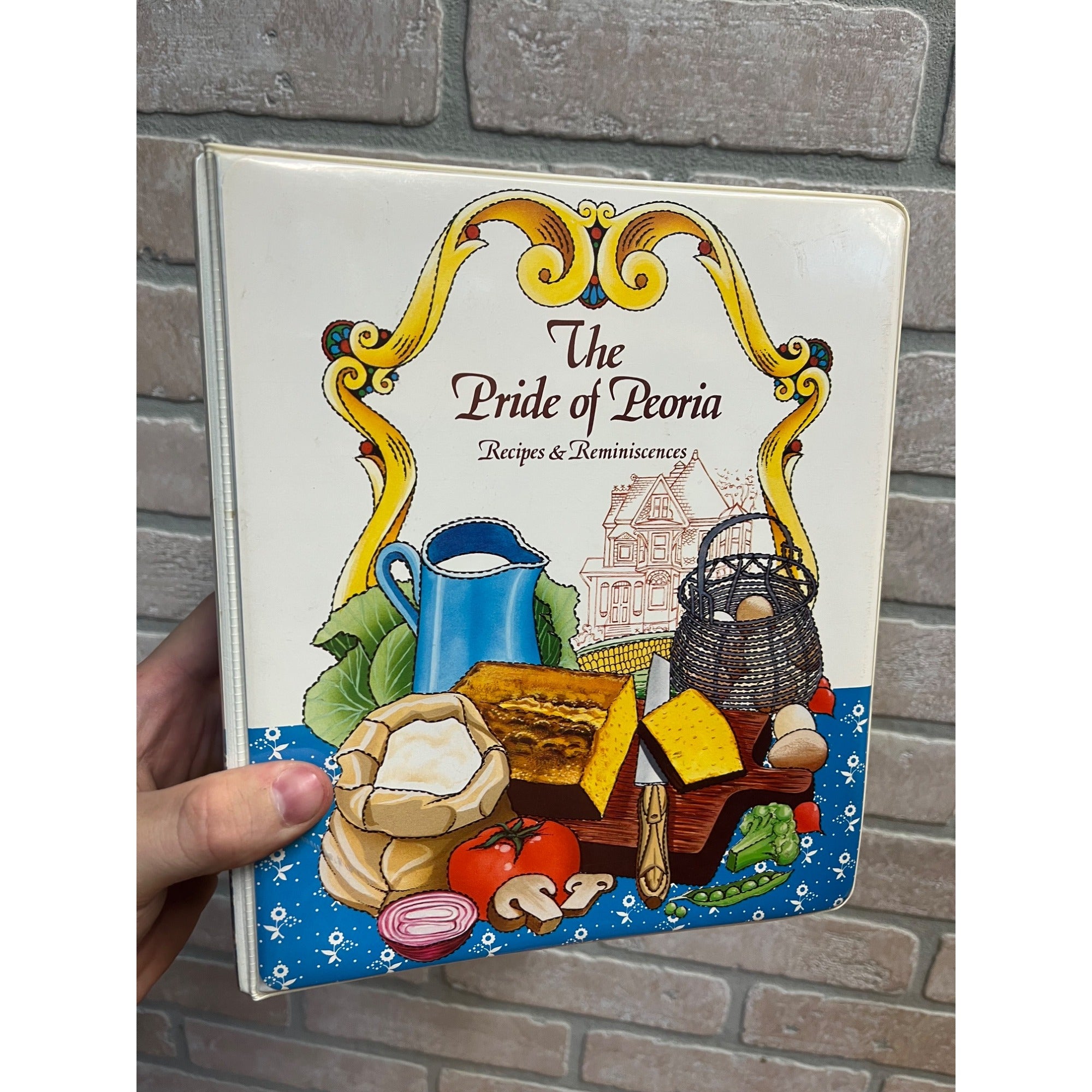 Vintage Pride of Peoria Illinois Recipes & Reminiscences Cook Book Binder 1982