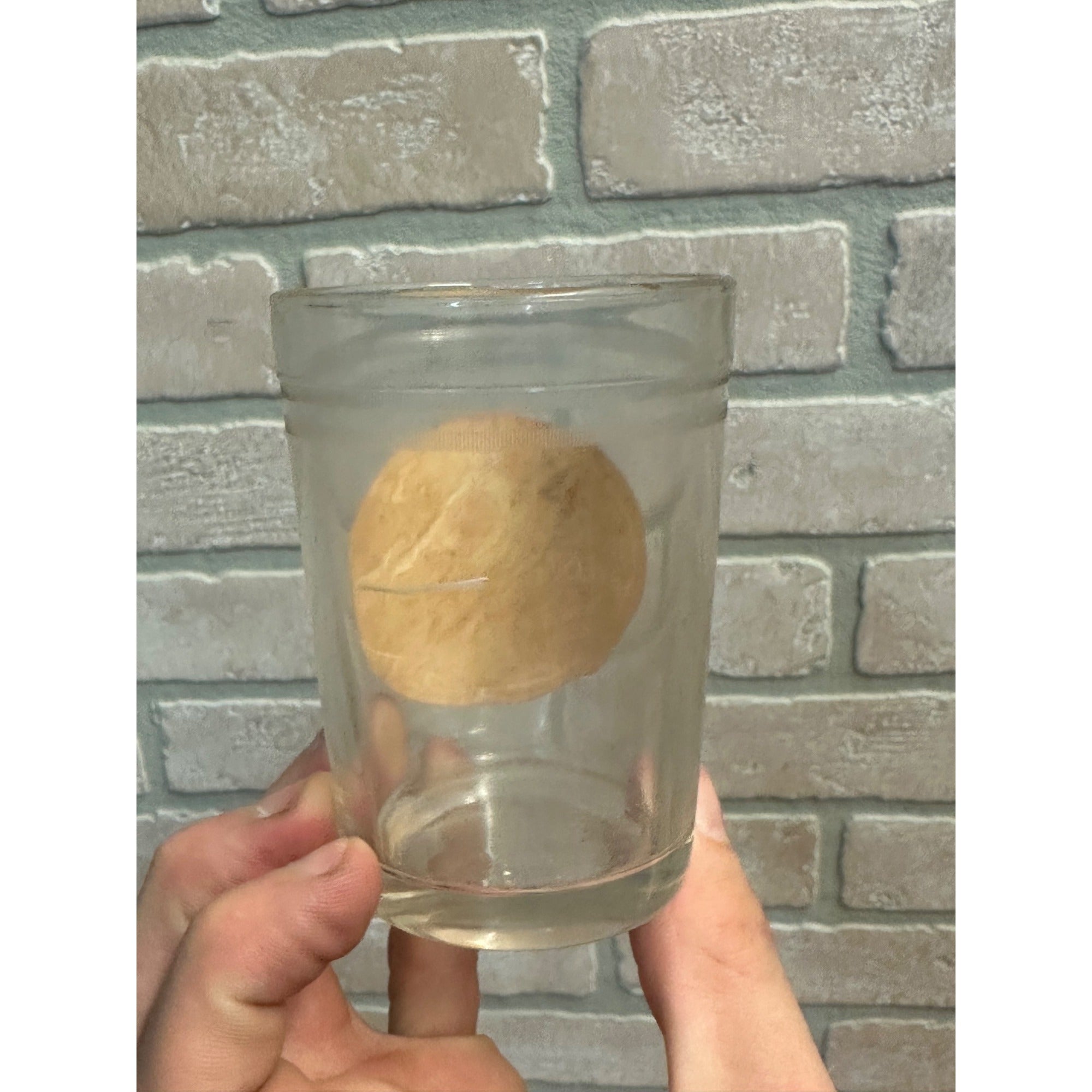 Vintage Early 1900s Sunnyside Sanitary Horse Radish Jar Oshkosh Wisconsin WI Miller