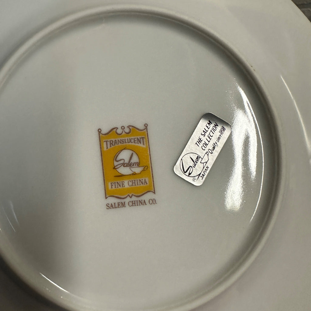 Salem Translucent Fine China NOS Place Setting Set Salad and Dessert Plate