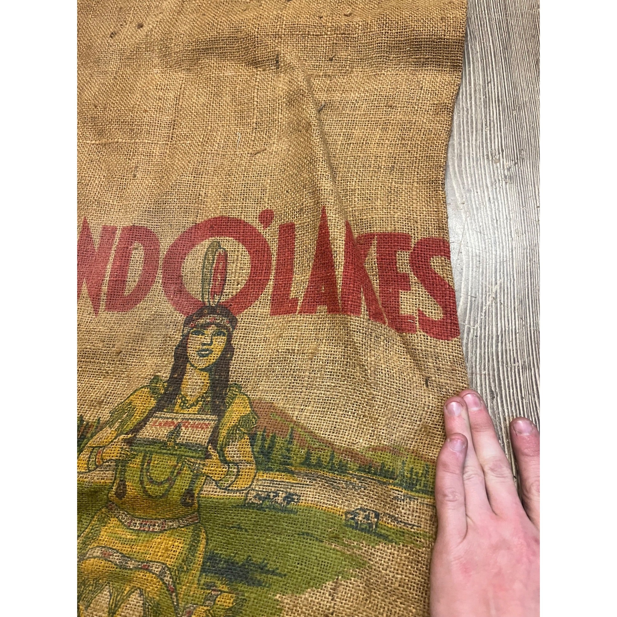 Original LAND O LAKES Princess Seed Grain Sack Advertising Bag