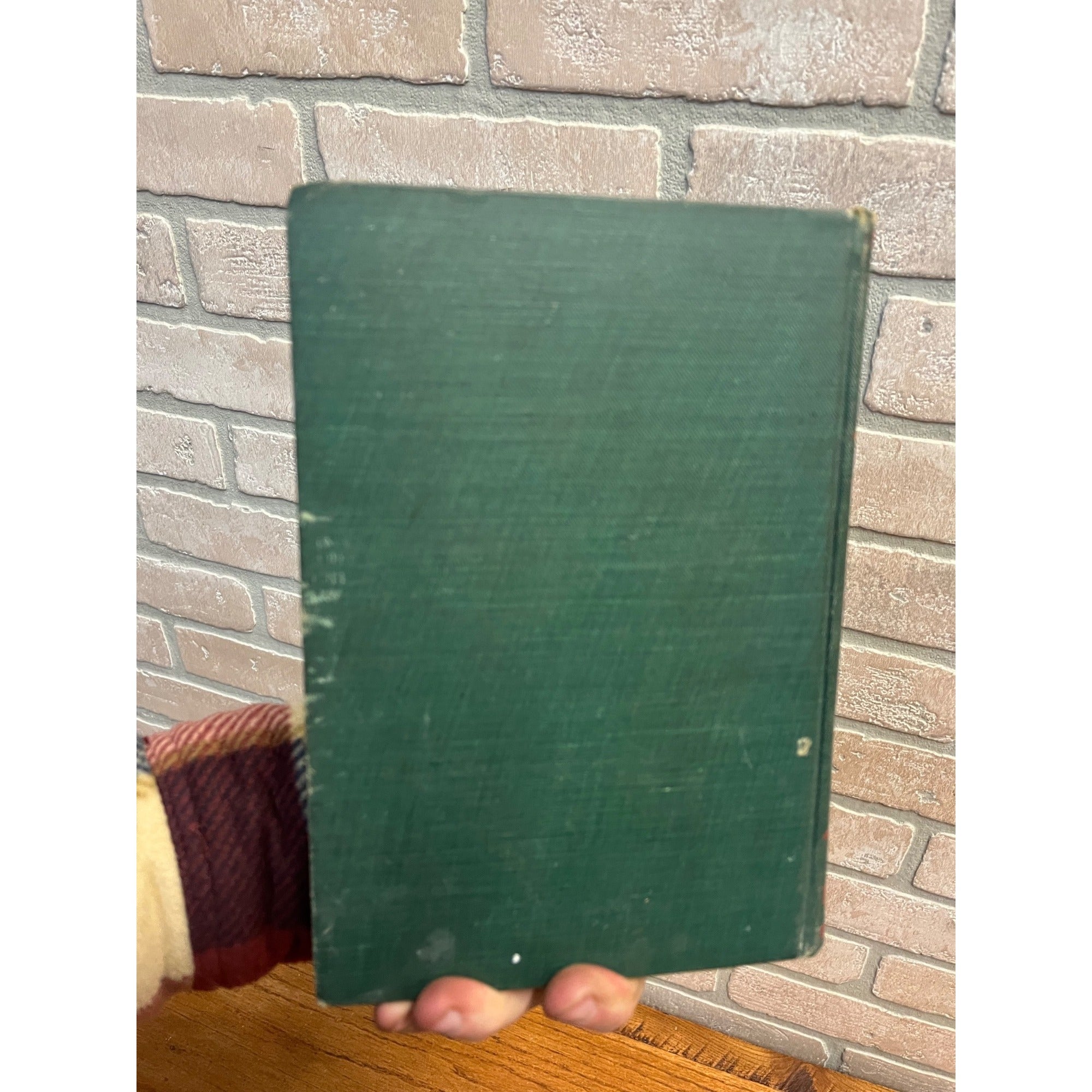 Vintage 1900 Victorius Republicanism Lives of McKinley & Teddy Roosebelt Book