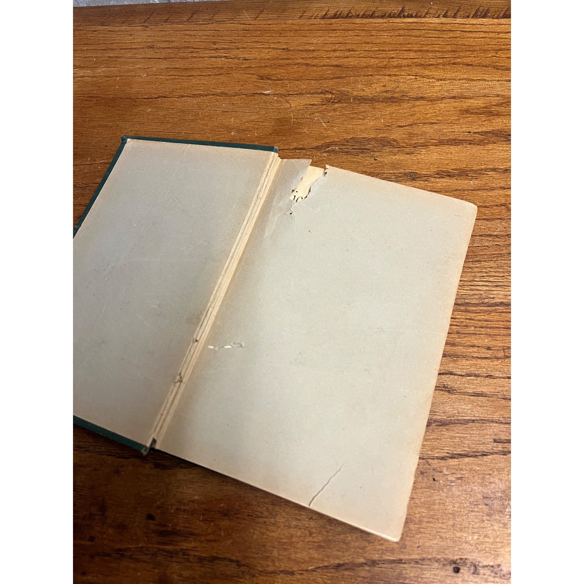 Vintage 1900 Victorius Republicanism Lives of McKinley & Teddy Roosebelt Book