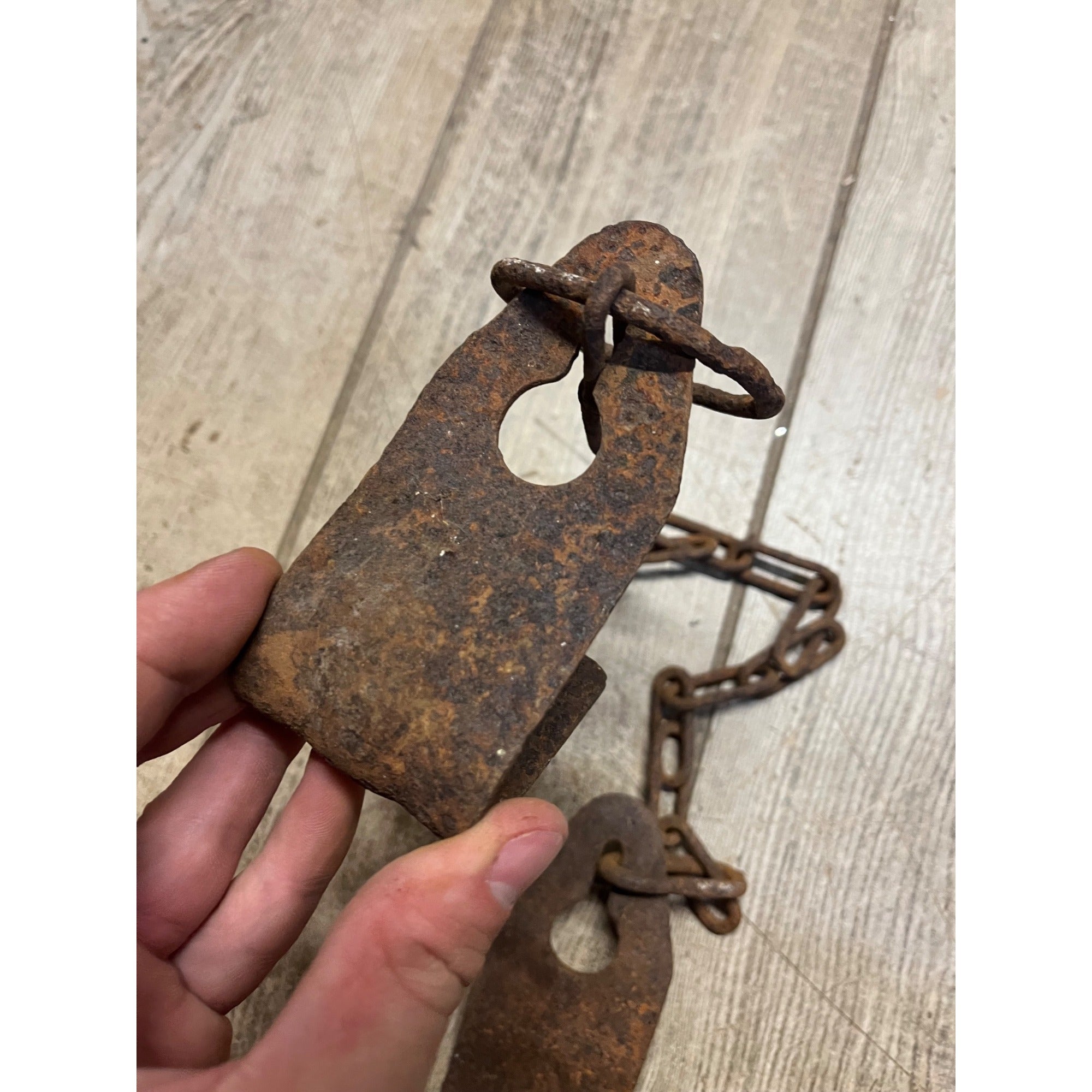 Vintage Metal Rusty Cow Kicking Chains Hobbles Garden Art Steampunk Lot (2)