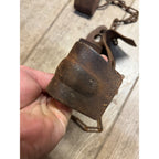 Vintage Metal Rusty Cow Kicking Chains Hobbles Garden Art Steampunk Lot (2)
