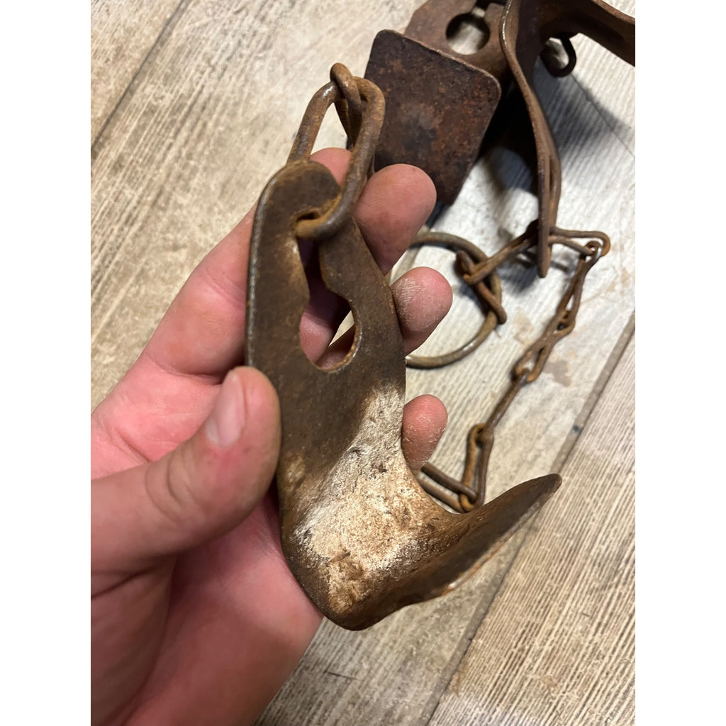 Vintage Metal Rusty Cow Kicking Chains Hobbles Garden Art Steampunk Lot (2)