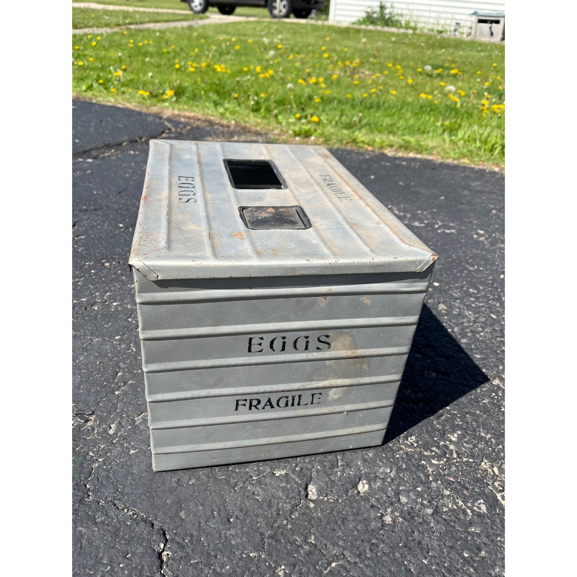 Vintage Metal Egg Tin 6 Dozen Eggs Carrier Mailing Shipping Crate farm farming