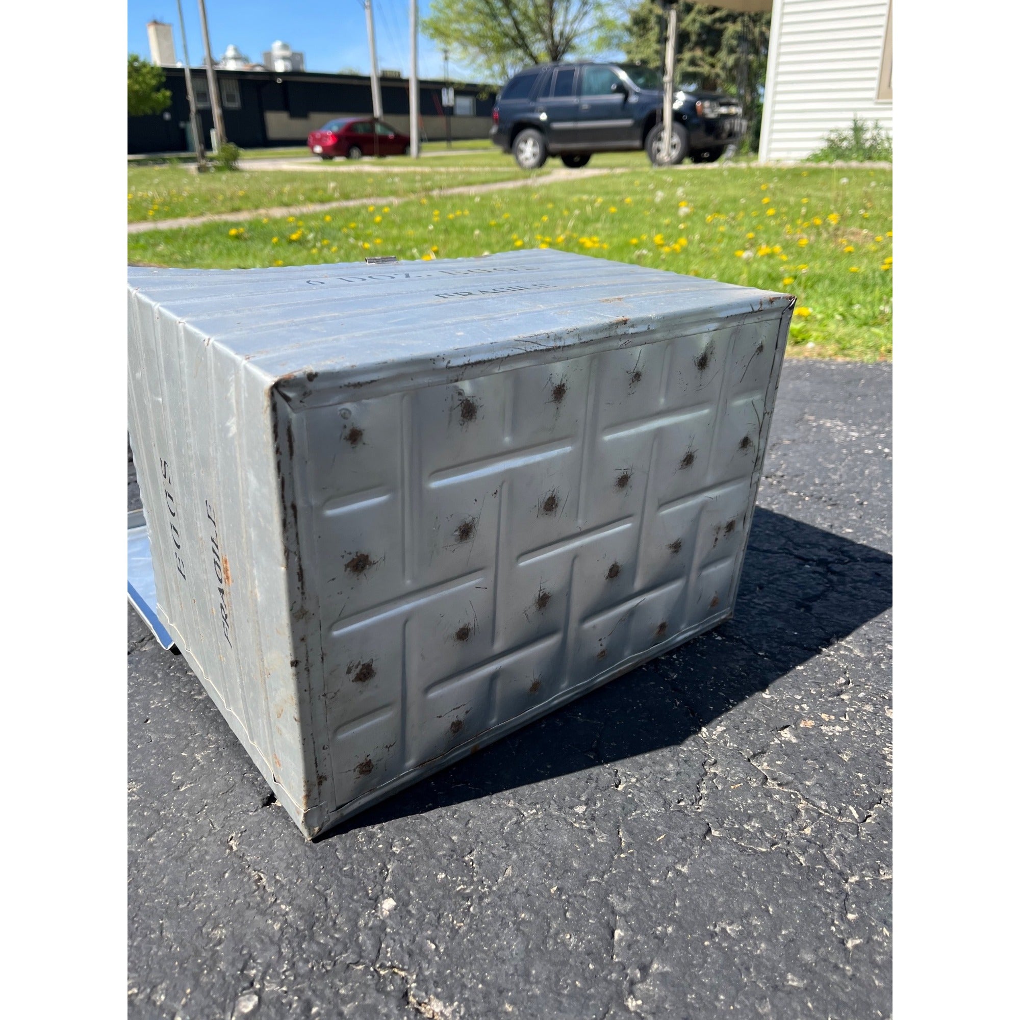 Vintage Metal Egg Tin 6 Dozen Eggs Carrier Mailing Shipping Crate farm farming