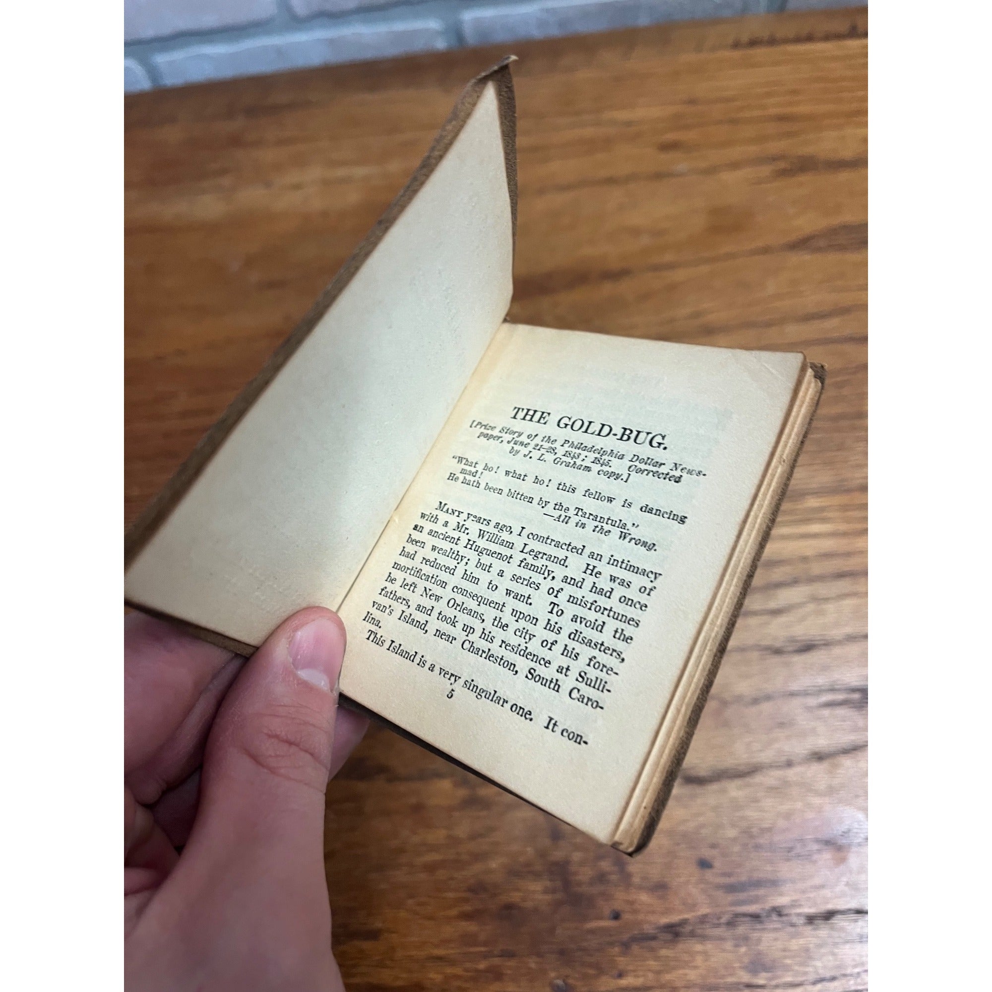 Antique Little Leather Library Book Edgar Allan Poe THE GOLD BUG