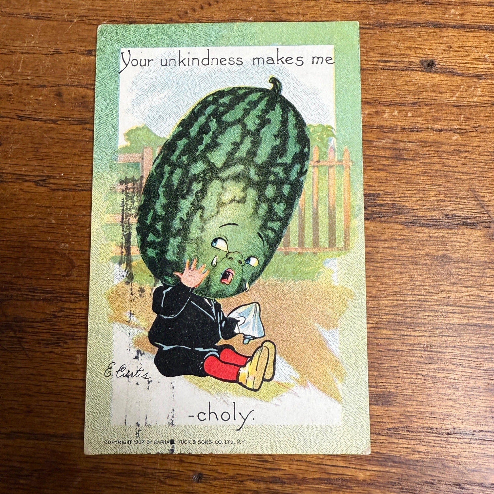 Vintage Tuck Garden Patch Postcard Watermelon E CURTIS Valentine Anthropomorphic