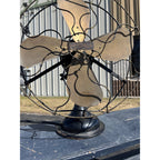 Antique 1914 Century model 154 Oscillating 16 in Electric Brass Fan