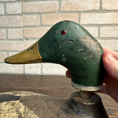 Repainted Mallard Evans Duck Decoy Wooden Hunting Decoy