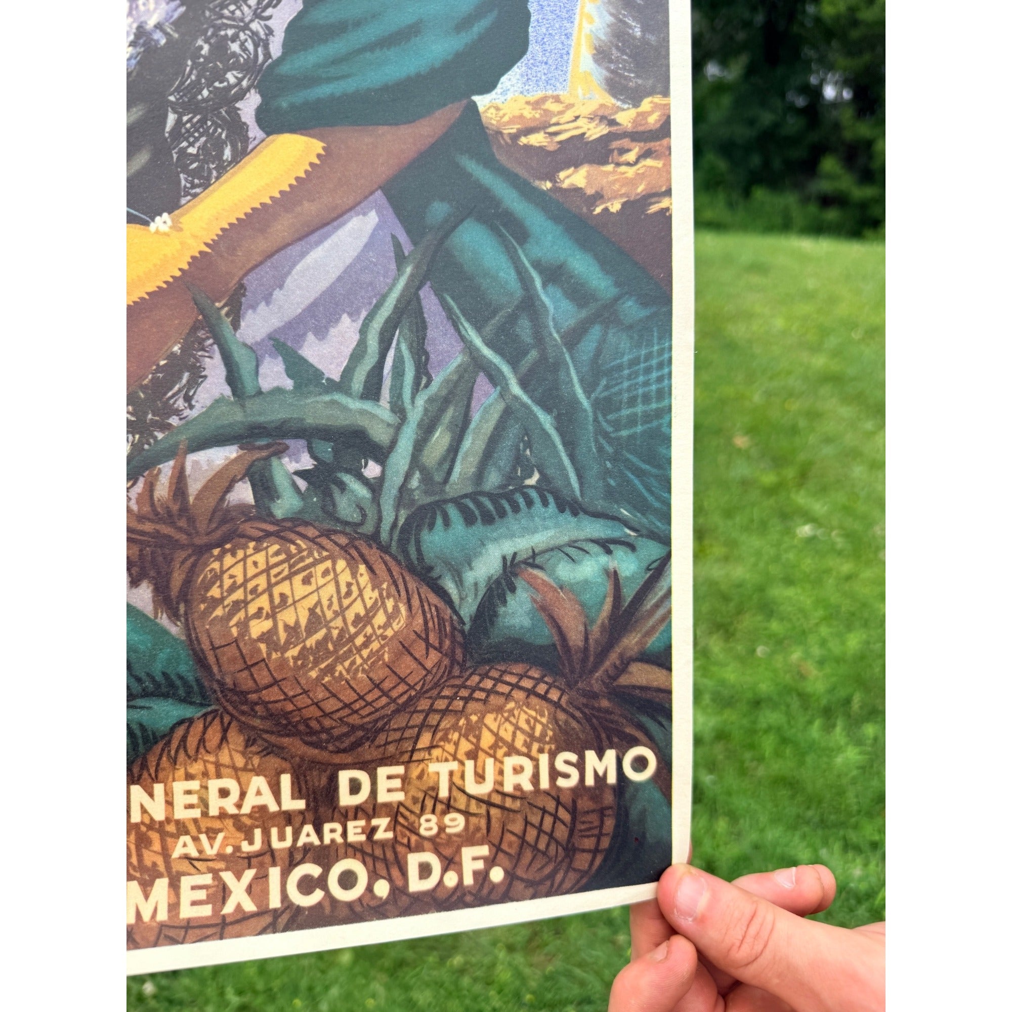 Original 1950s Veracruz Mexico Travel Tourism Poster Vintage Art
