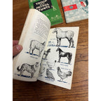 Set of Three (3) Cub Scout Books Circa 1960 Paperback Boy Scouts of America