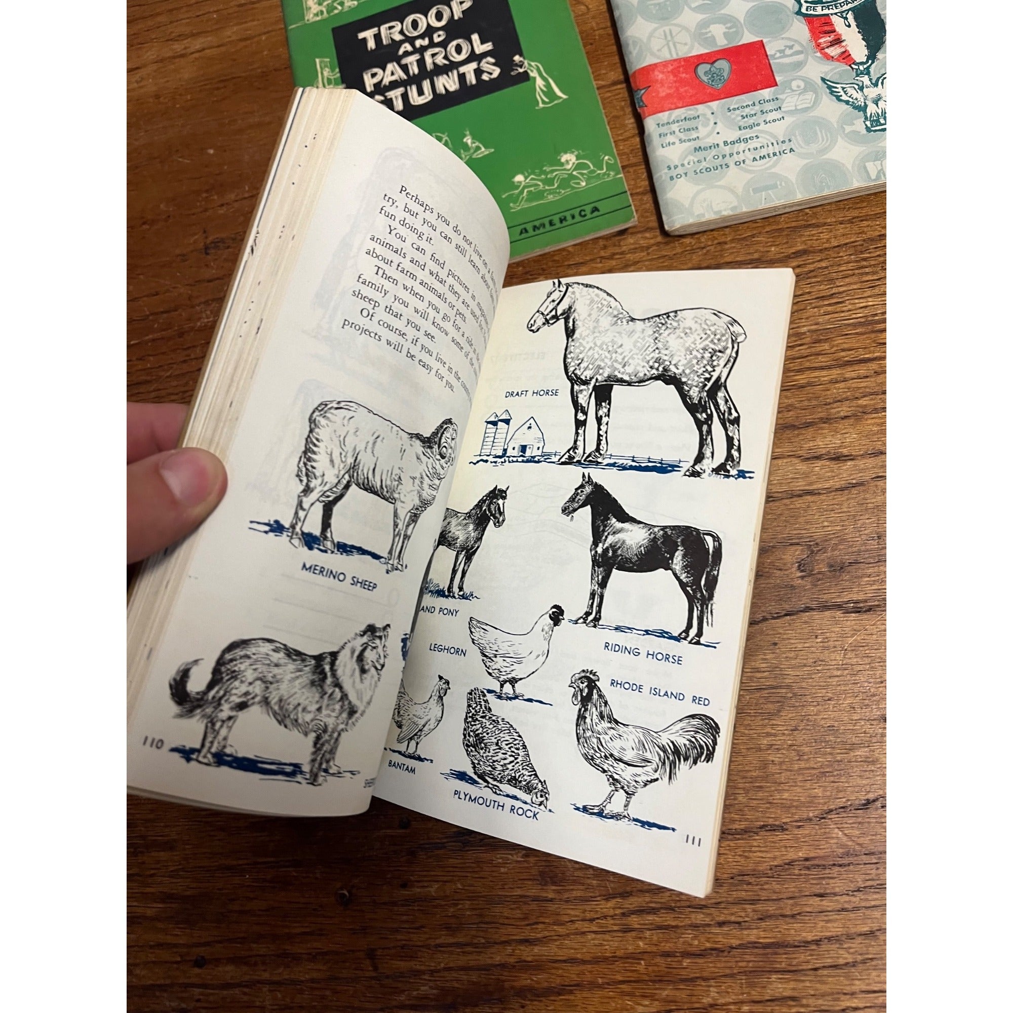 Set of Three (3) Cub Scout Books Circa 1960 Paperback Boy Scouts of America