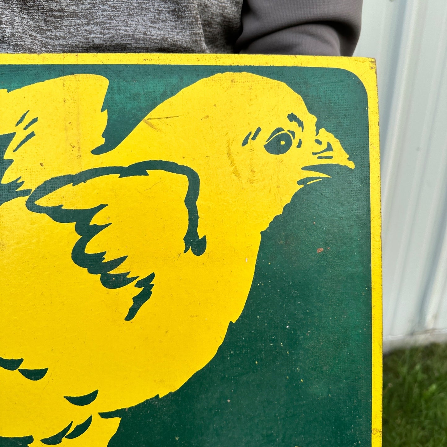 Vintage Dekalb Chix-Too Chicks Farm Advertisign Sign Masonite Pressed Wood