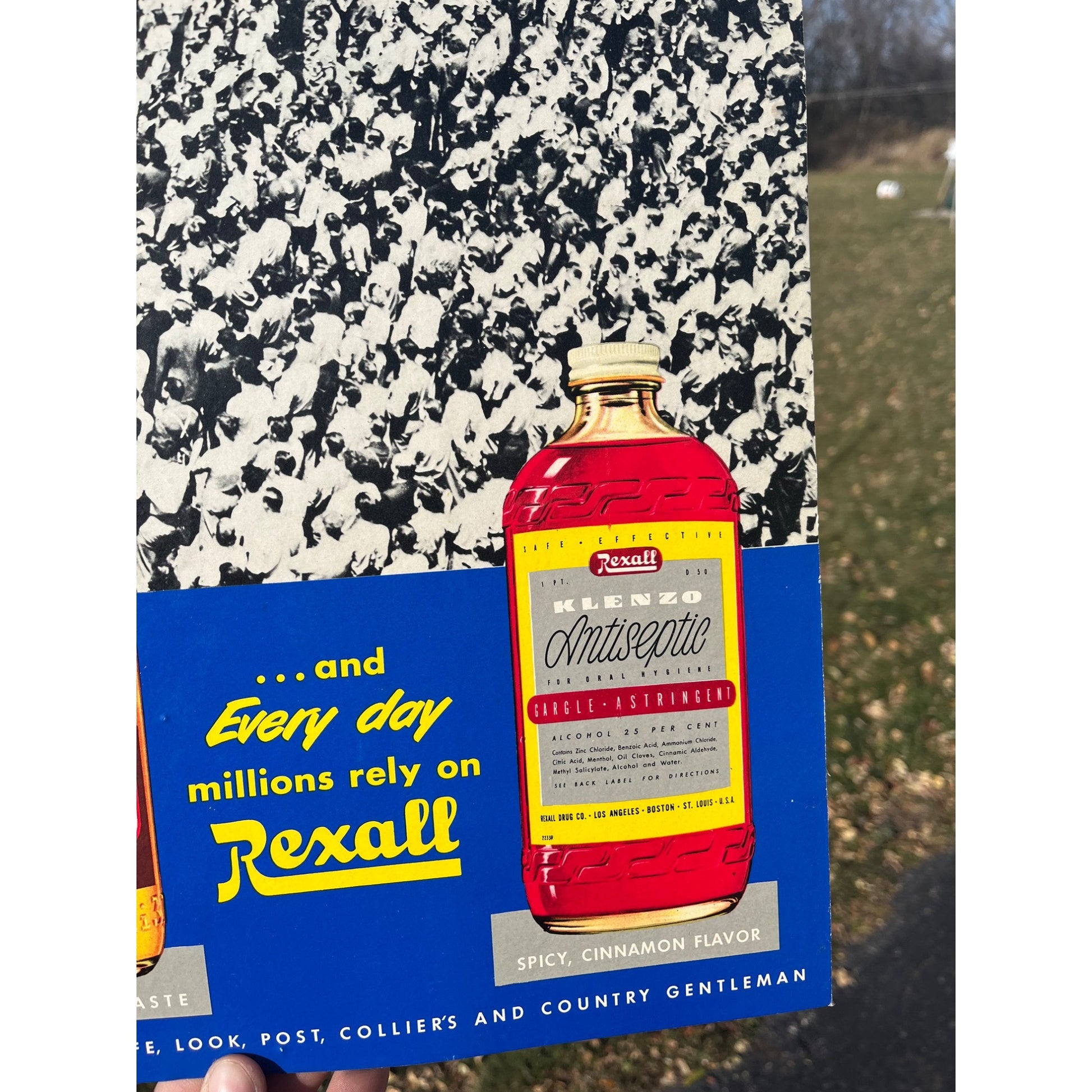 Vintage Rexall Mouth Wash Cardboard Advertising Easel Sign Drug Store Display