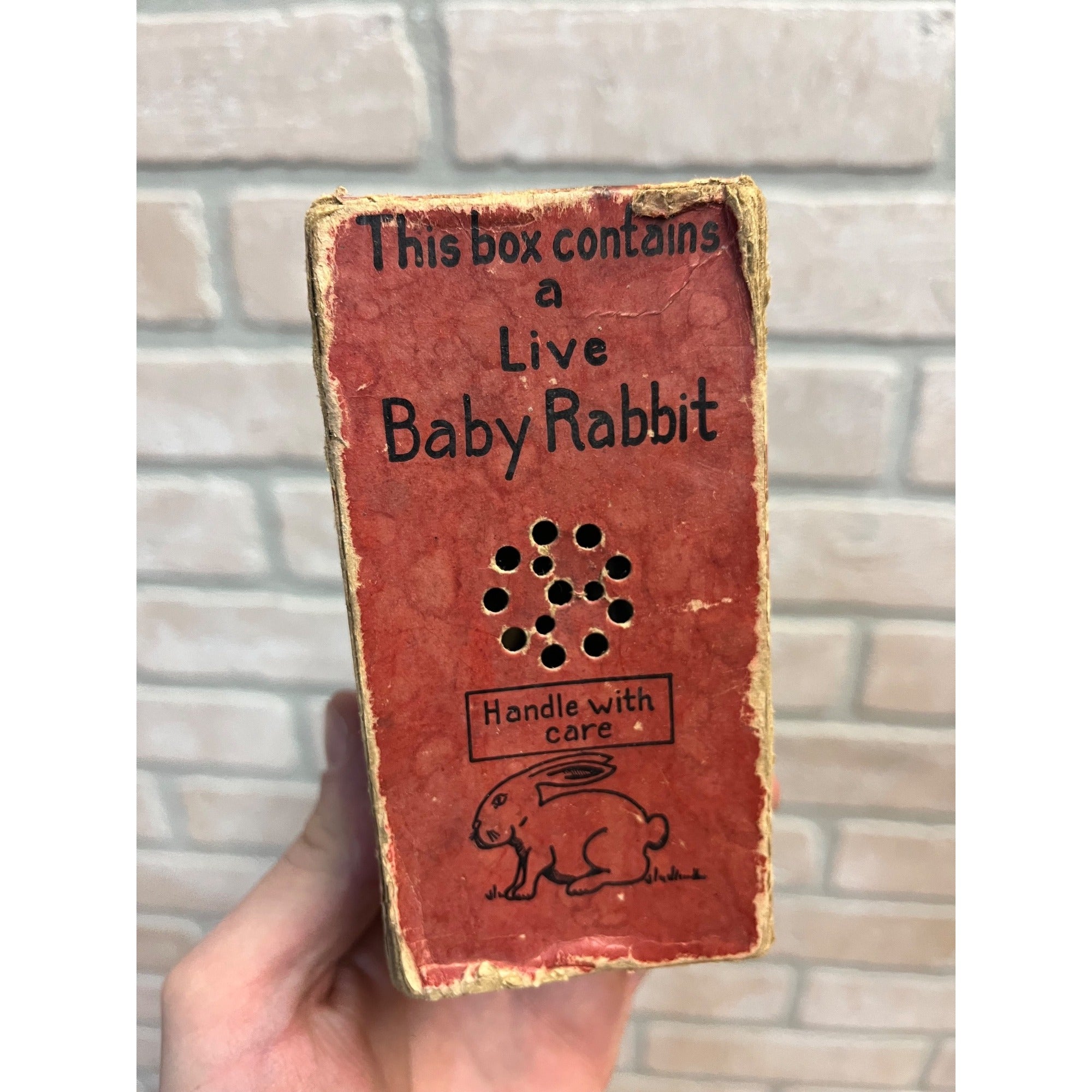 Vintage 1939 Adams Co Live Baby Rabbit Easter Bunny Joke Gag Gift Novelty Box