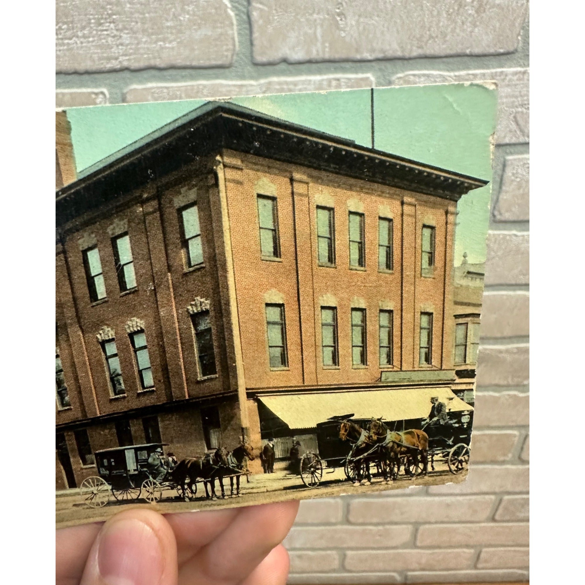 Mayo Offcies Rochester Minn. Minnesota Postcard MN Building Horses