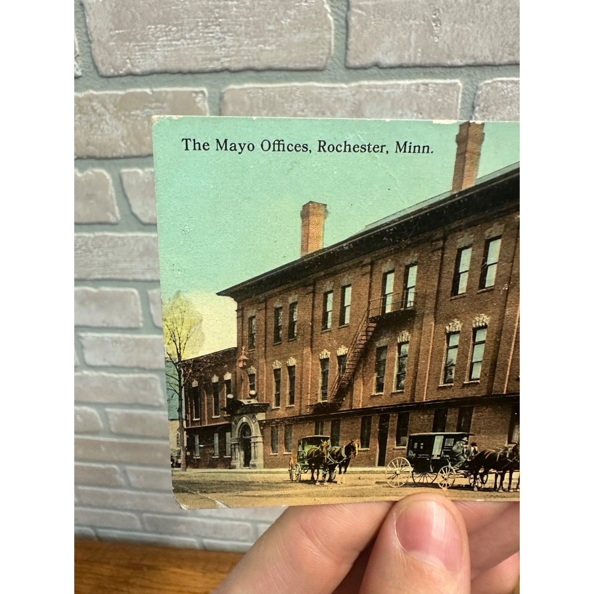 Mayo Offcies Rochester Minn. Minnesota Postcard MN Building Horses