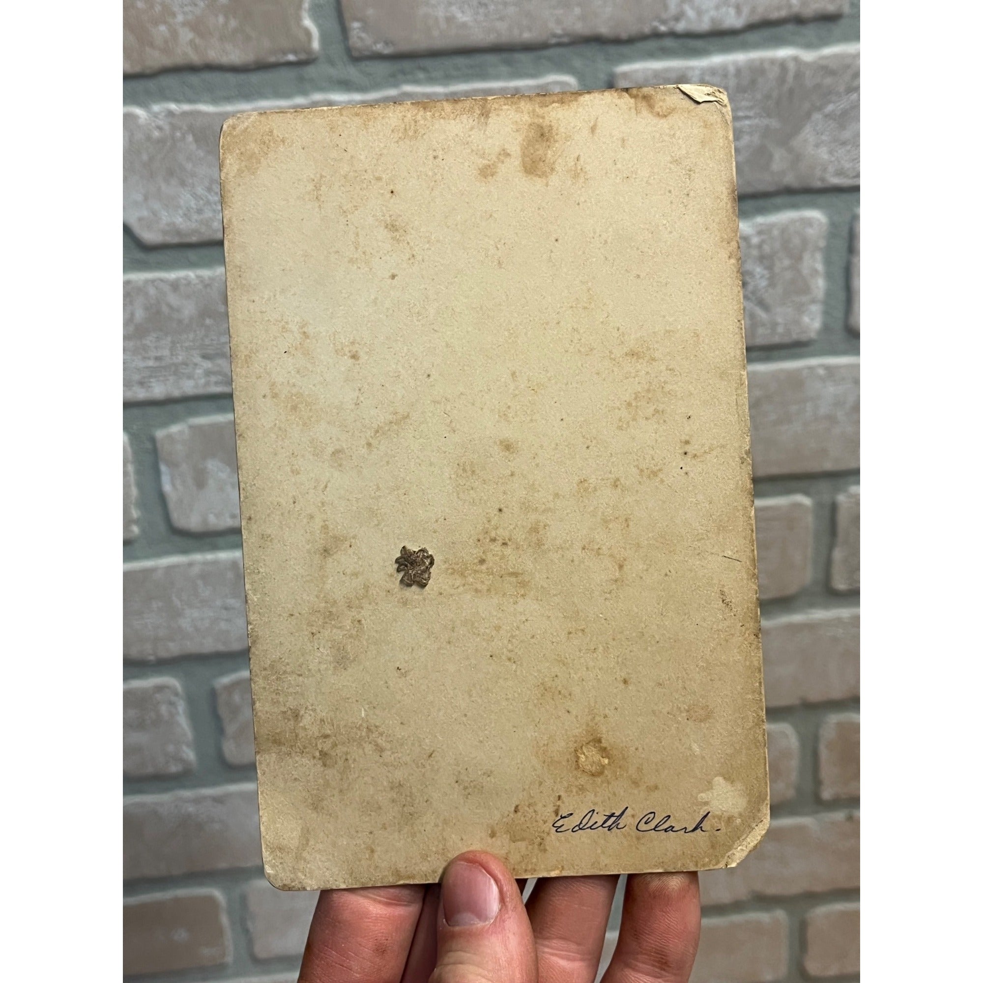 Antique 1880s Cabinet Photo Boy & Girl Holding Cute Kitten Cat Manitowoc Wis