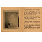1893 Chicago World Fair Columbian Exposition Mammoth Redwood Plank - Berry Bros