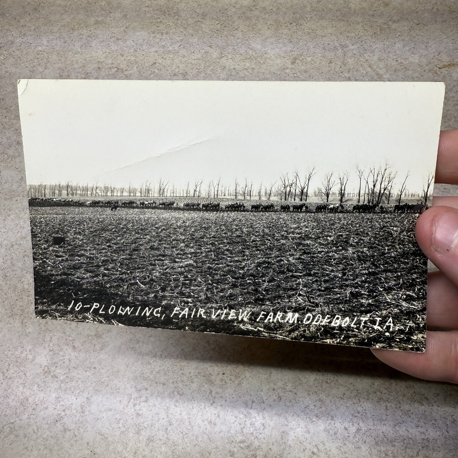RPPC Photo Postcard Plowing at Odebolt IA Iowa Fairview Farm
